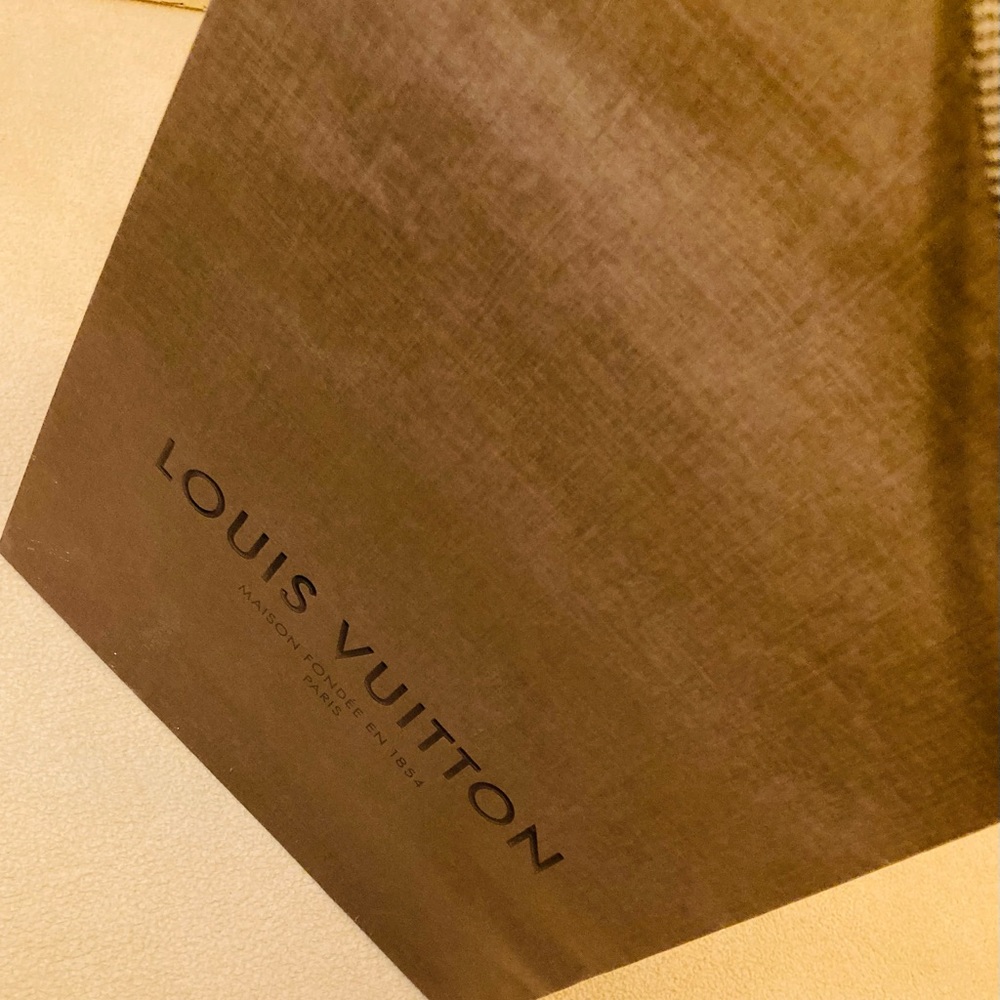 Louis Vuitton classic matte brown textured paper shopping bag, brown cord handle